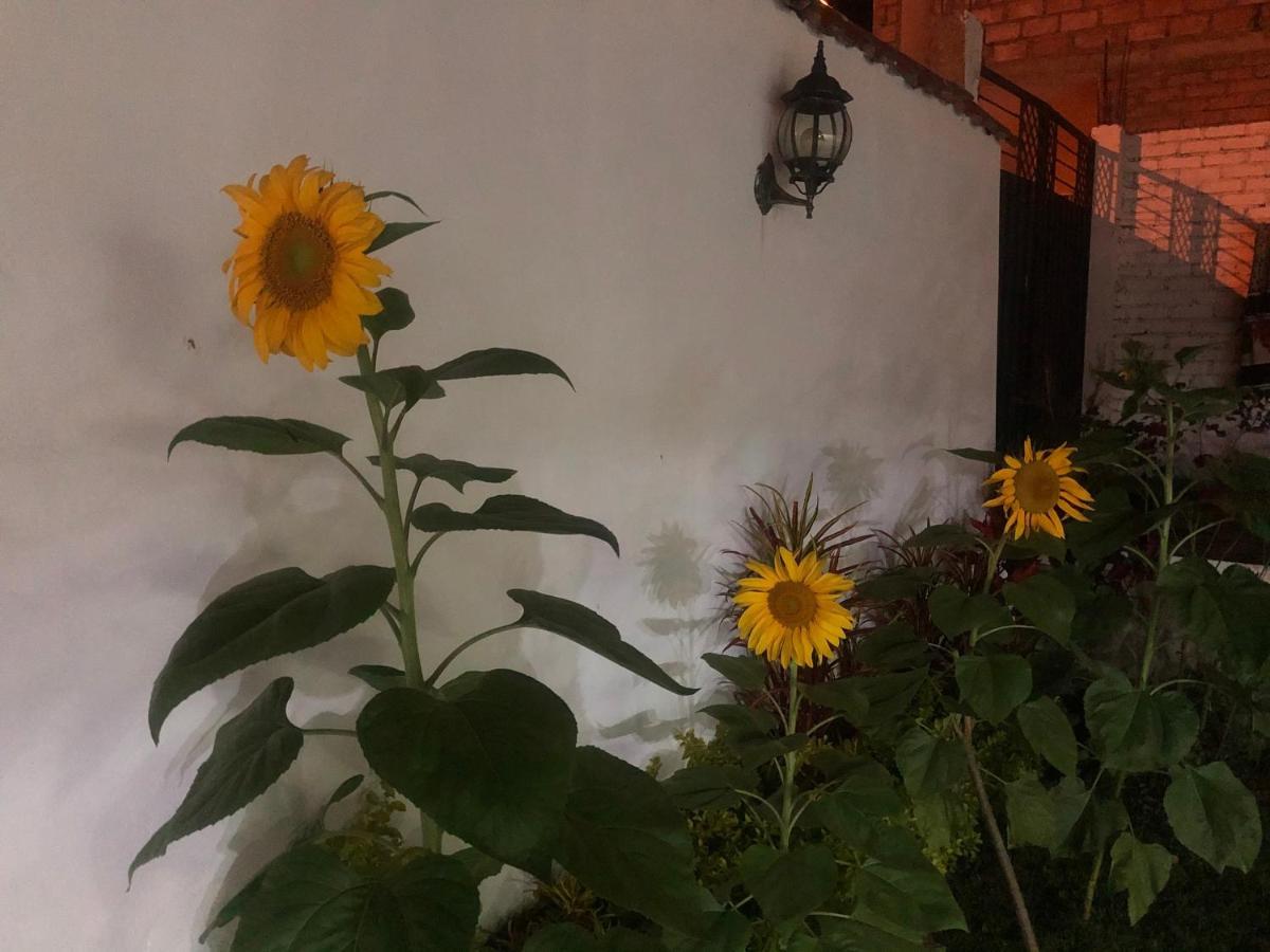 Hostel Las Palmas Vilcabamba Buitenkant foto