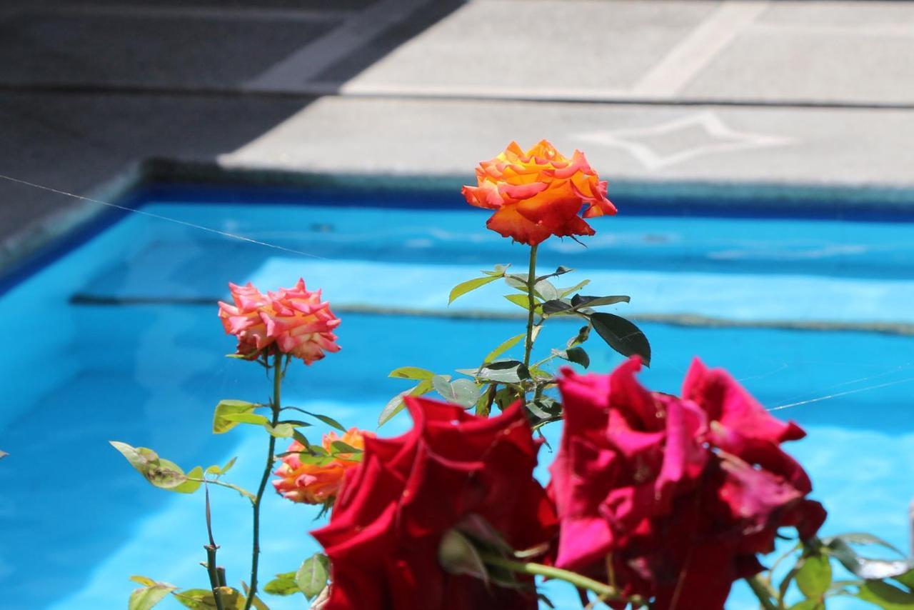 Hostel Las Palmas Vilcabamba Buitenkant foto