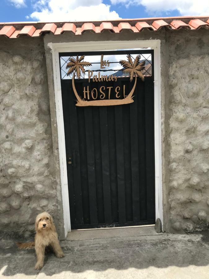 Hostel Las Palmas Vilcabamba Buitenkant foto